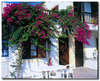 Bella Vista Hotel 